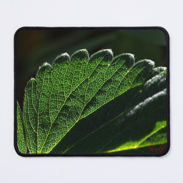 Item preview, End of Winter at the Arboretum in Canberra/ACT/Australia (10) designed and sold by Wolf Sverak Photography.