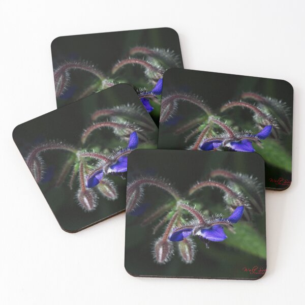Item preview, End of Winter at the Arboretum in Canberra/ACT/Australia (8) designed and sold by Wolf Sverak Photography.