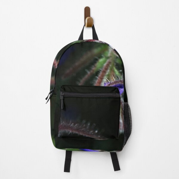 Item preview, End of Winter at the Arboretum in Canberra/ACT/Australia (8) designed and sold by Wolf Sverak Photography.
