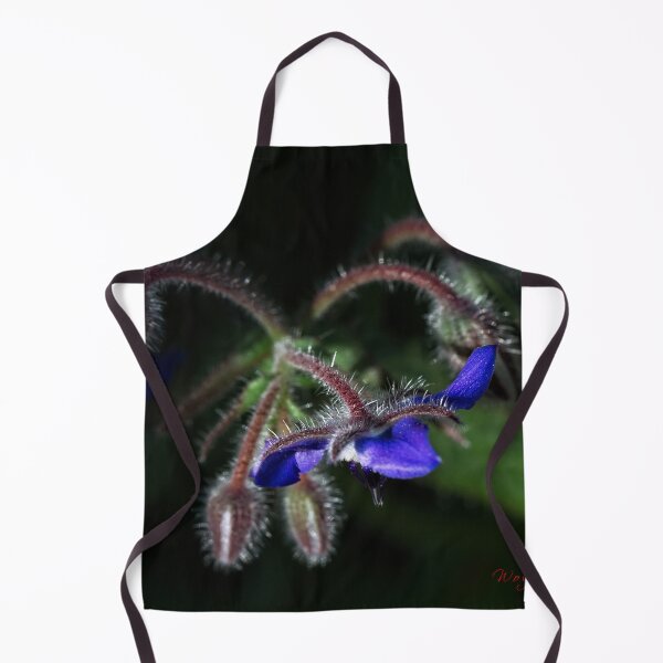 Item preview, End of Winter at the Arboretum in Canberra/ACT/Australia (8) designed and sold by Wolf Sverak Photography.
