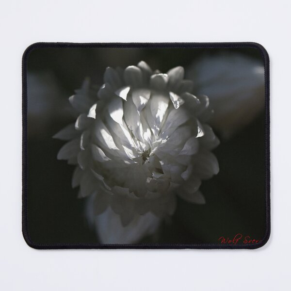 Item preview, End of Winter at the Arboretum in Canberra/ACT/Australia (7) designed and sold by Wolf Sverak Photography.