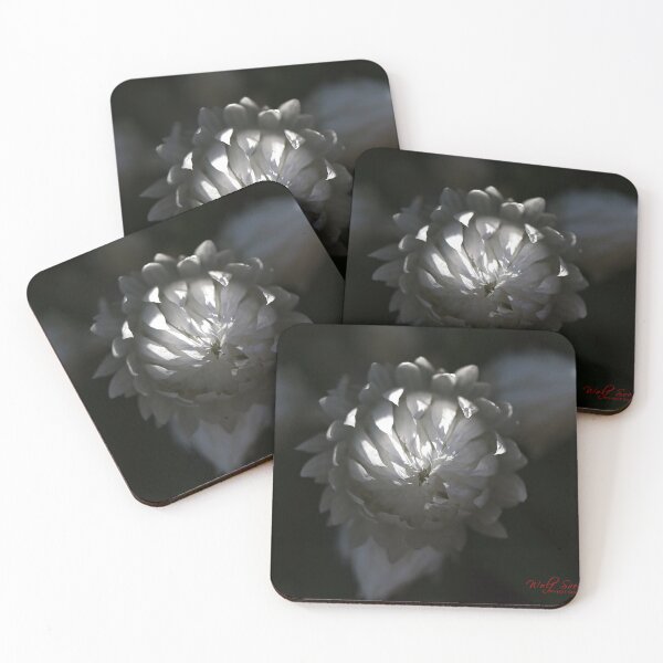 Item preview, End of Winter at the Arboretum in Canberra/ACT/Australia (7) designed and sold by Wolf Sverak Photography.