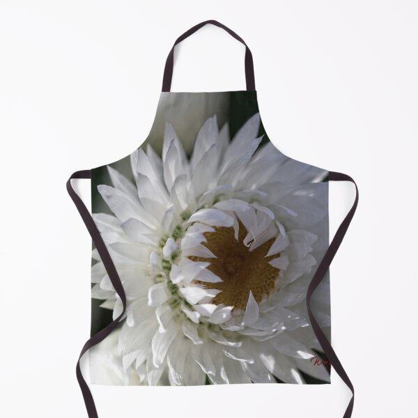 Item preview, End of Winter at the Arboretum in Canberra/ACT/Australia (6) designed and sold by Wolf Sverak Photography.