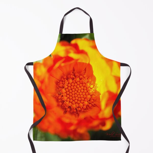 Item preview, End of Winter at the Arboretum in Canberra/ACT/Australia (5) designed and sold by Wolf Sverak Photography.