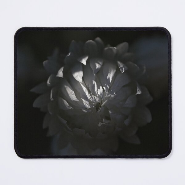 Item preview, End of Winter at the Arboretum in Canberra/ACT/Australia (4) designed and sold by Wolf Sverak Photography.