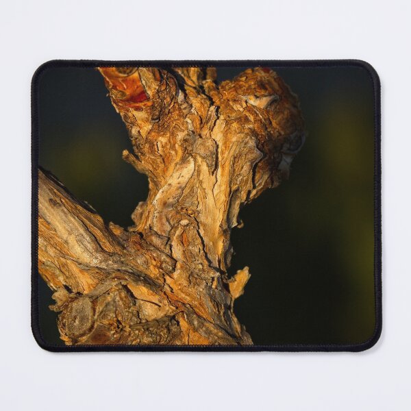 Item preview, End of Winter at the Arboretum in Canberra/ACT/Australia (3) designed and sold by Wolf Sverak Photography.