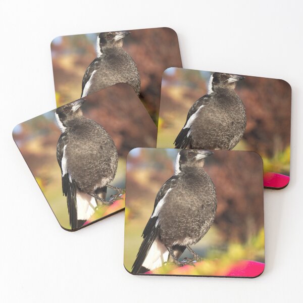 Item preview, End of Winter at the Arboretum in Canberra/ACT/Australia (2) designed and sold by Wolf Sverak Photography.