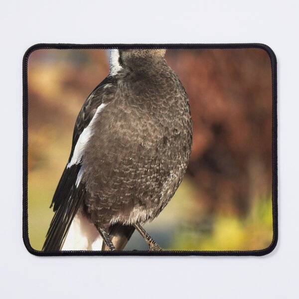 Item preview, End of Winter at the Arboretum in Canberra/ACT/Australia (2) designed and sold by Wolf Sverak Photography.