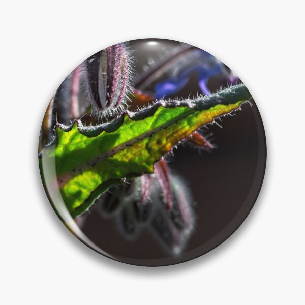 Item preview, End of Winter at the Arboretum in Canberra/ACT/Australia (1) designed and sold by Wolf Sverak Photography.