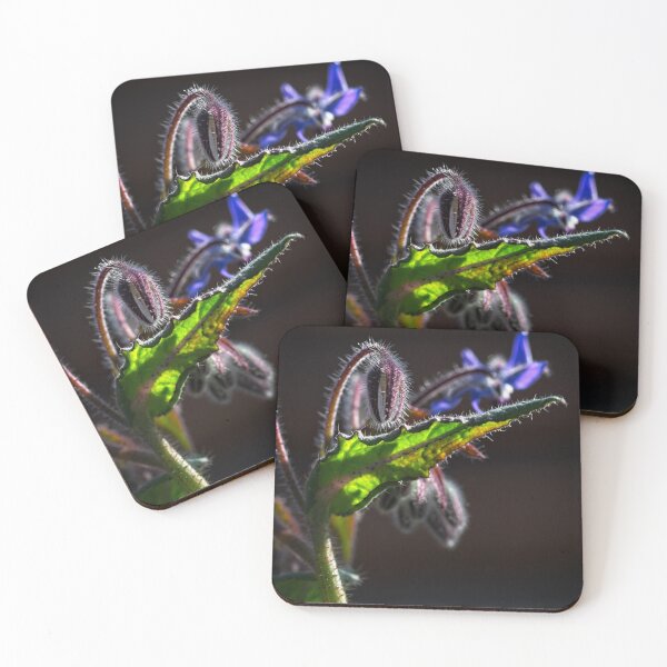 Item preview, End of Winter at the Arboretum in Canberra/ACT/Australia (1) designed and sold by Wolf Sverak Photography.