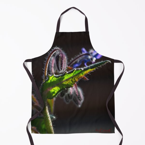 Item preview, End of Winter at the Arboretum in Canberra/ACT/Australia (1) designed and sold by Wolf Sverak Photography.