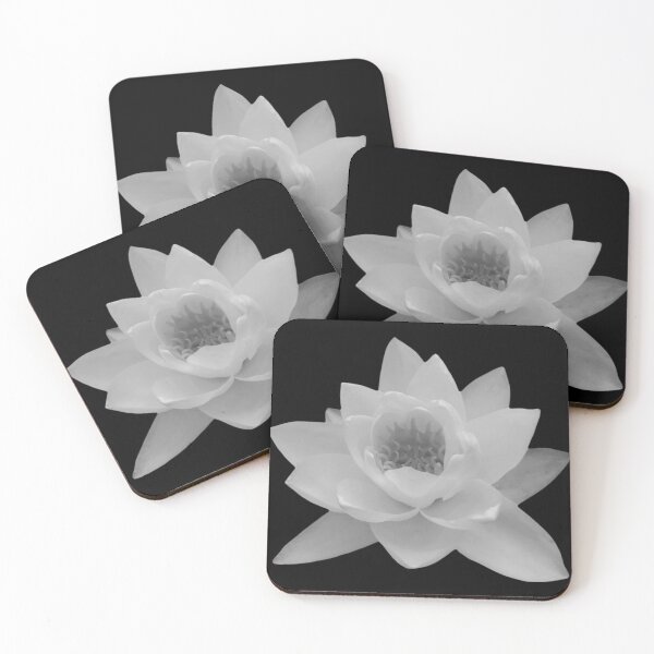 Item preview,  Water Lily Nymphaea Alba Monochrome Photo  designed and sold by Jenny Meehan Art Prints and Patterns  .