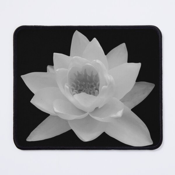 Item preview, Water Lily Nymphaea Alba Monochrome Photo designed and sold by Jenny Meehan Art Prints and Patterns .