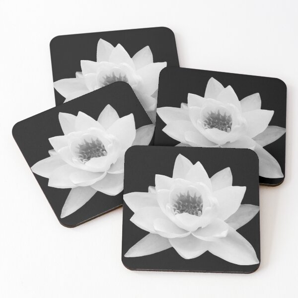 Item preview,  Water Lily Nymphaea Alba Black and White Photo  designed and sold by Jenny Meehan Art Prints and Patterns  .