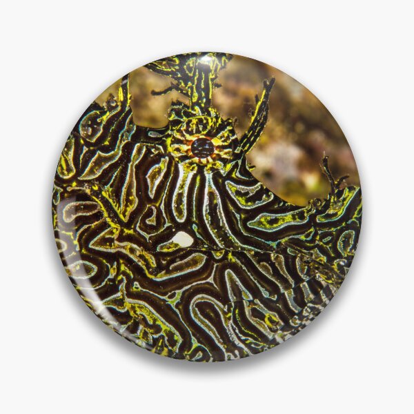 Item preview, Hidden designed and sold by David Wachenfeld.