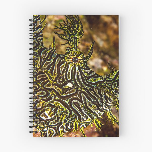 Item preview, Hidden designed and sold by David Wachenfeld.