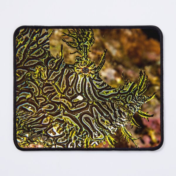 Item preview, Hidden designed and sold by David Wachenfeld.