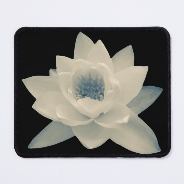 Item preview, Water Lily Nymphaea Alba Vintage Tint designed and sold by Jenny Meehan Art Prints and Patterns .
