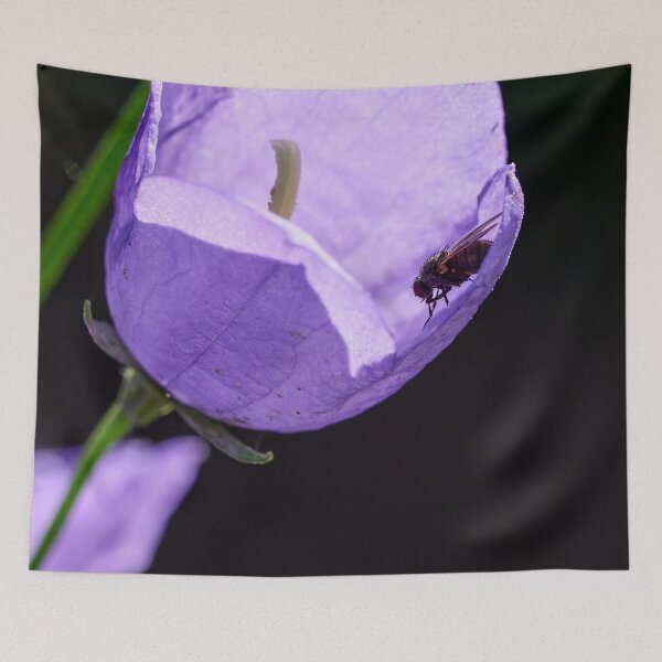 Item preview, Beauty and the Beast designed and sold by Jouko Lehto Photography.