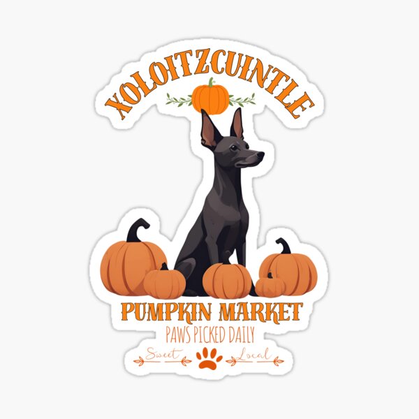 Vista previa del artículo con la obra «Mercado de calabazas: xoloitzcuintle con calabazas y texto de temporada», diseñado y vendido por GoodyPaws.