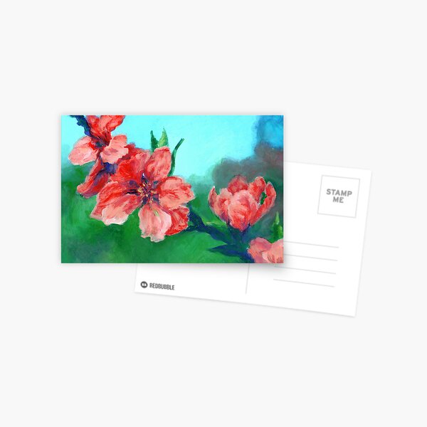 Apple Blossoms Postcard