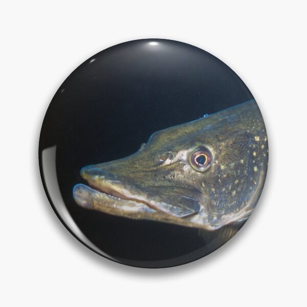 Item preview, closeup of pike designed and sold by FotoMahieu.