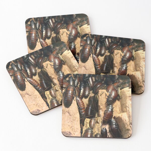Item preview, Cluster of Cockroaches on Wood designed and sold by urzga.
