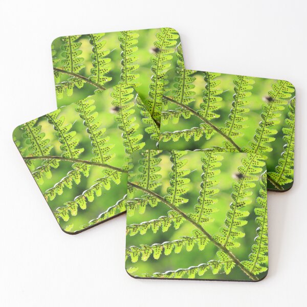 Item preview, FERNS designed and sold by MIKESCOTT.