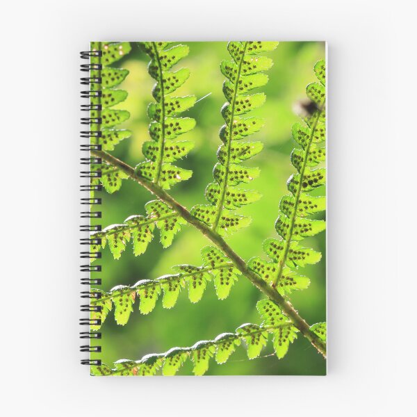 Item preview, FERNS designed and sold by MIKESCOTT.
