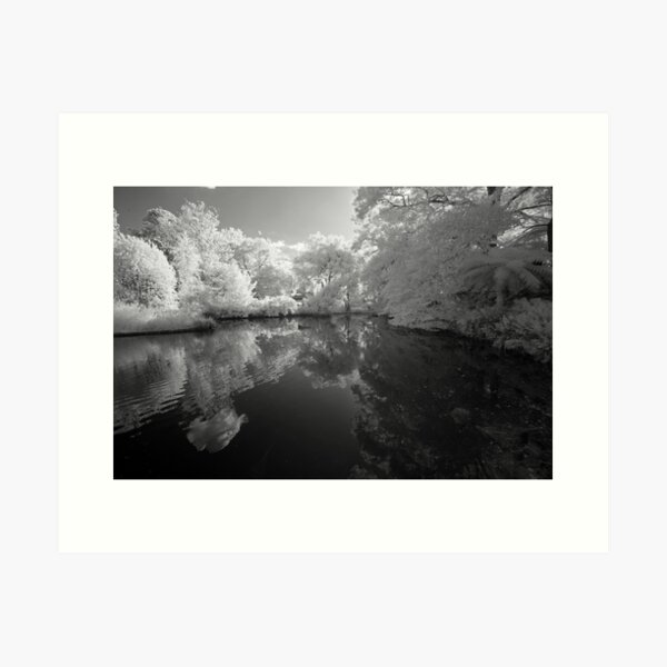Item preview, Duck Pond Infrared designed and sold by Geoff Smith.