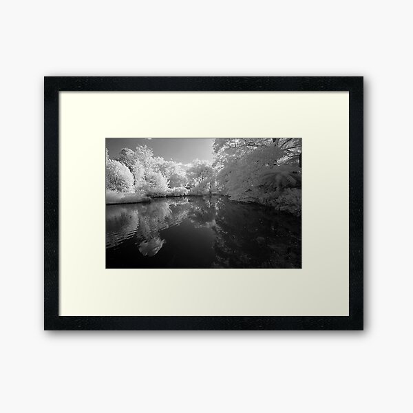 Item preview, Duck Pond Infrared designed and sold by Geoff Smith.