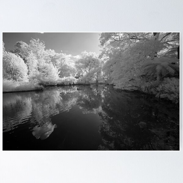 Item preview, Duck Pond Infrared designed and sold by Geoff Smith.