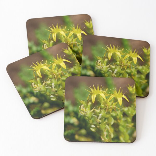 Item preview, The Yellow. Goldmoss stonecrop designed and sold by Jouko Lehto Photography.
