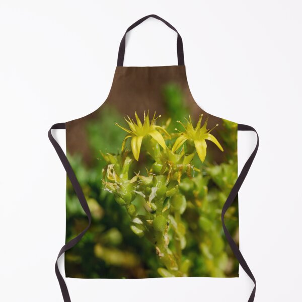 Item preview, The Yellow. Goldmoss stonecrop designed and sold by Jouko Lehto Photography.