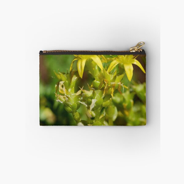 Item preview, The Yellow. Goldmoss stonecrop designed and sold by Jouko Lehto Photography.
