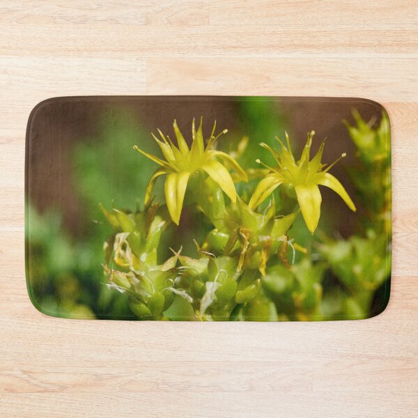 Item preview, The Yellow. Goldmoss stonecrop designed and sold by Jouko Lehto Photography.