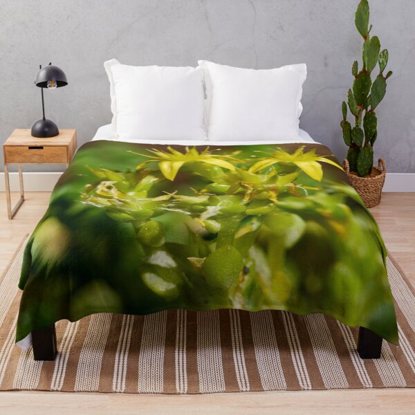 Item preview, The Yellow. Goldmoss stonecrop designed and sold by Jouko Lehto Photography.
