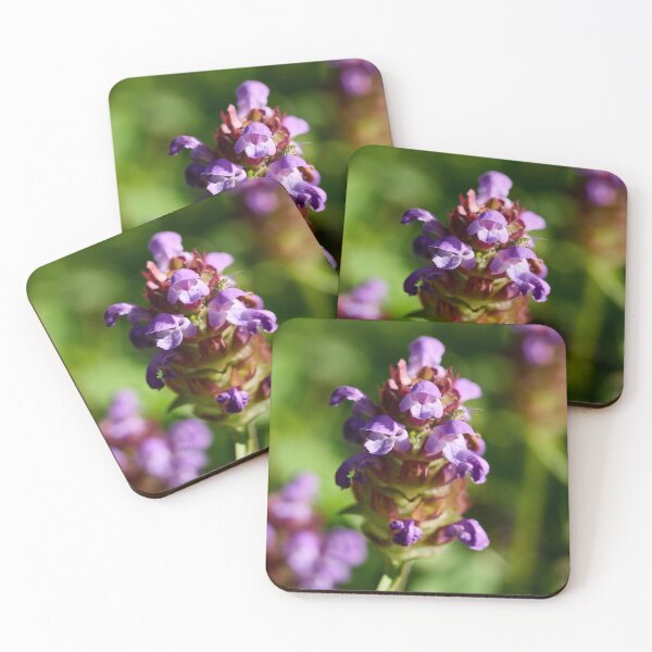 Item preview, Need some healing. Common self-heal designed and sold by Jouko Lehto Photography.
