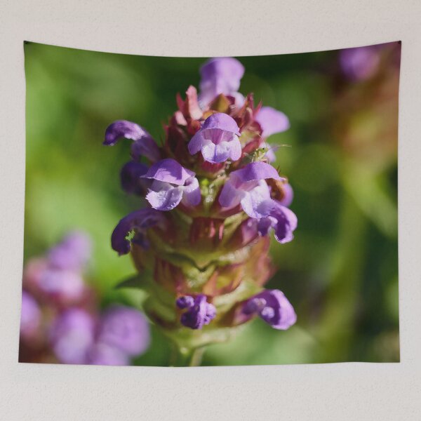Item preview, Need some healing. Common self-heal designed and sold by Jouko Lehto Photography.