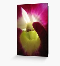Pranayama (breathing) Greeting Card