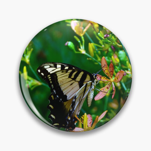 Item preview, Papilio Glaucus designed and sold by MercerImages.