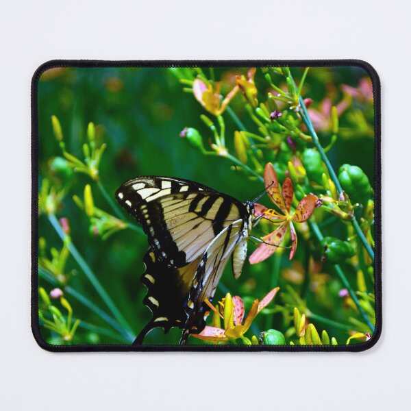 Item preview, Papilio Glaucus designed and sold by MercerImages.