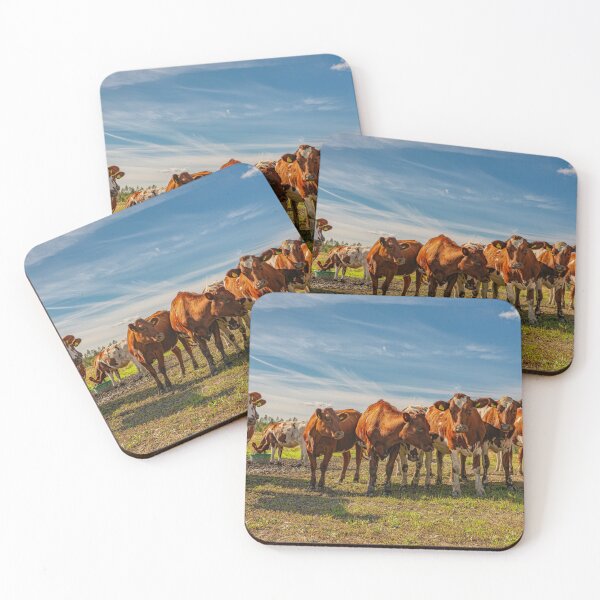 Item preview, Young cows designed and sold by Veikko  Suikkanen.