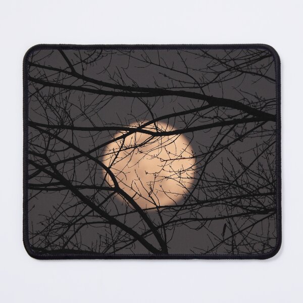 Item preview, Moonlit Branches designed and sold by Craig Kauzmann.