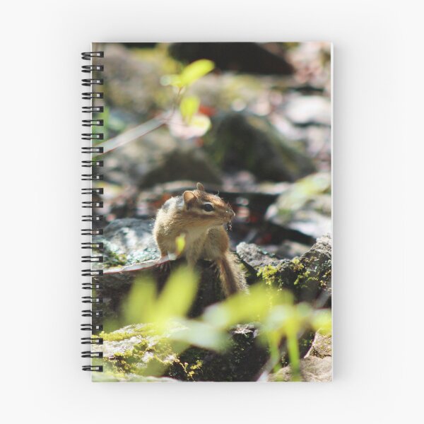 Item preview, Chipmunk designed and sold by LivandKit.