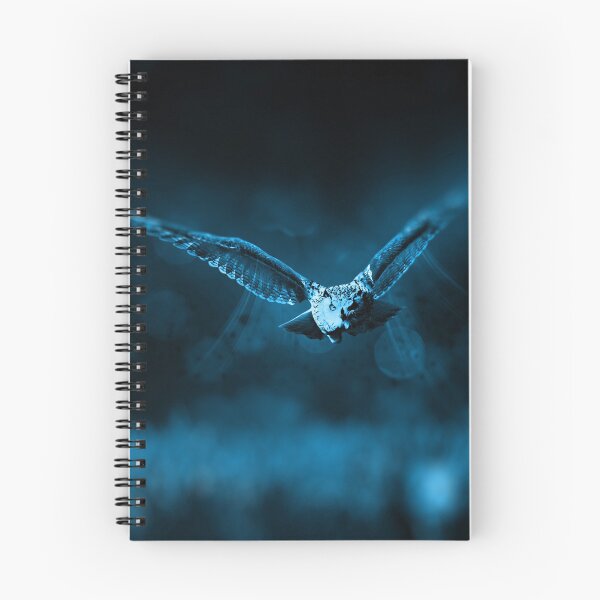 Item preview, Flight of the owl designed and sold by Victorious2.