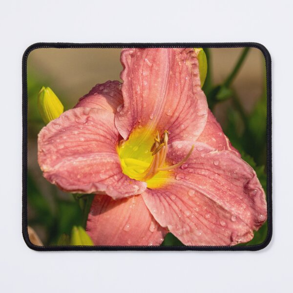 Item preview, Pink Day-lily designed and sold by TinyDinoDesigns.