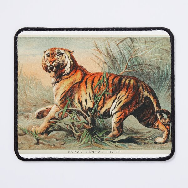 Item preview, Royal Bengal Tiger designed and sold by Zoozwear Apparel.