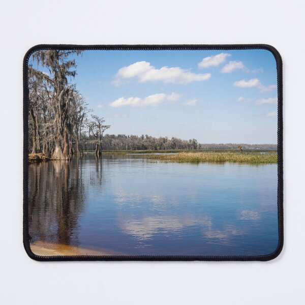 Item preview, Lake Louisa State Park, Florida 1 designed and sold by jrtwynam.