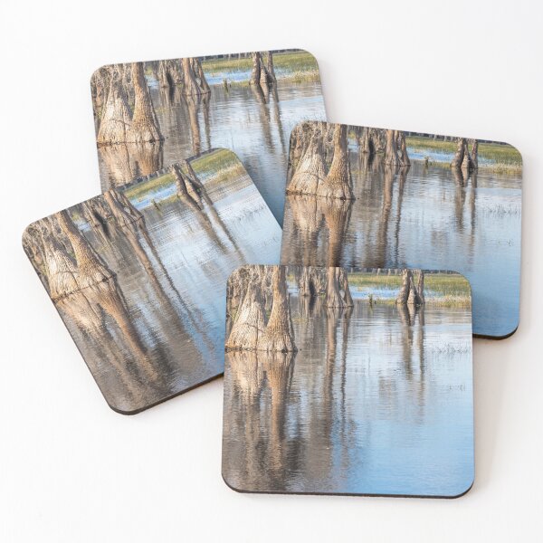 Item preview, Lake Louisa State Park, Florida 2 designed and sold by jrtwynam.